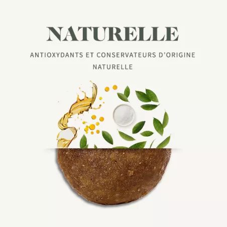 Mini Junior - Poulet
