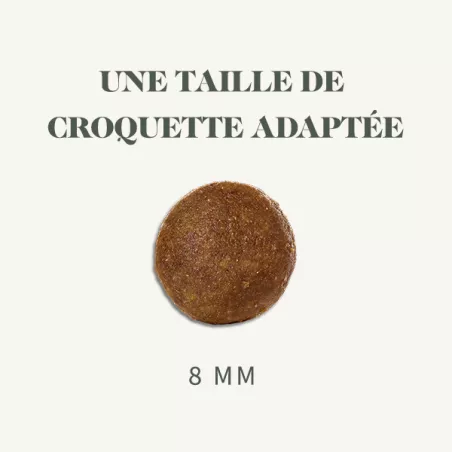 Mini Junior - Poulet