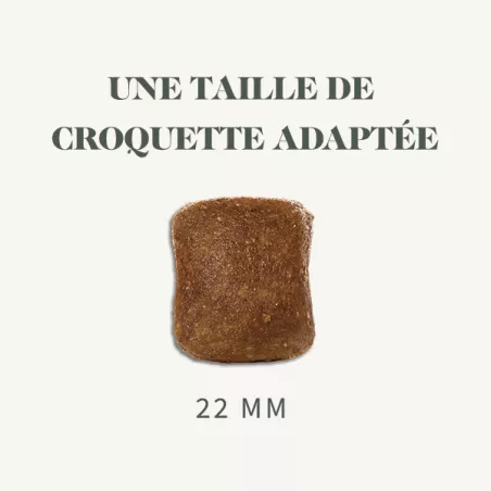 Maxi Stérilisé - Poulet
