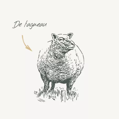 Adulte Digestif MG- Agneau