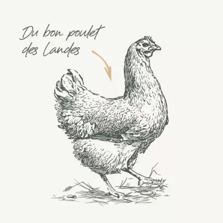 Adulte Perte de Poids - Poulet