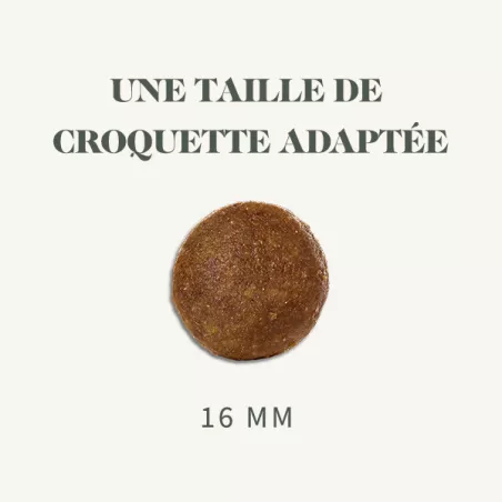 Adulte Perte de Poids - Poulet