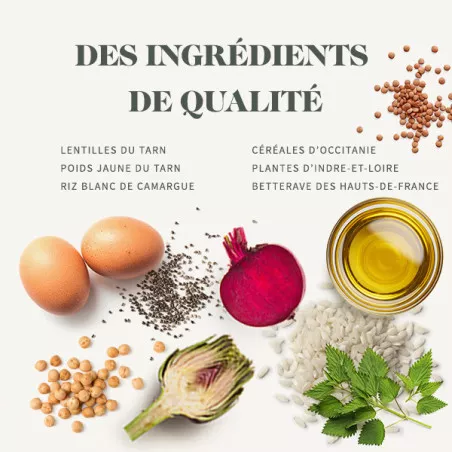 Medium junior - Poulet