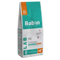 Adulte Articulaire - Poulet