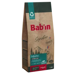 Chat Adulte - Canard