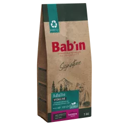 Chat Adulte - Saumon