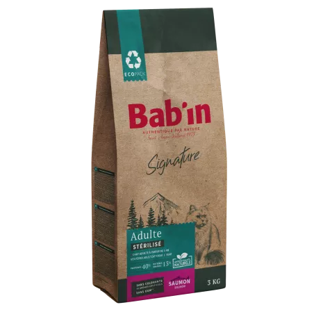 Chat Adulte - Saumon