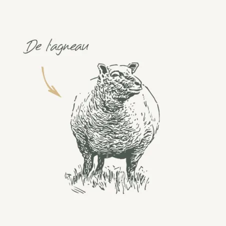 Terrine Chat - Agneau