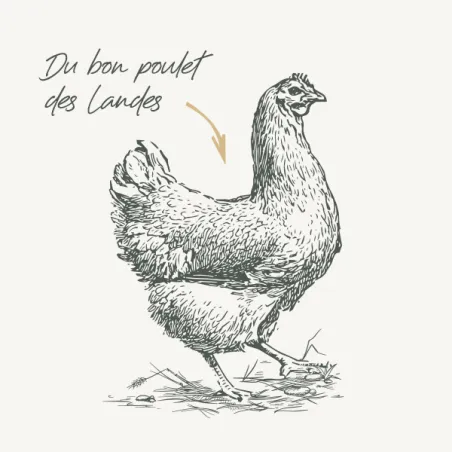 Terrine Chat - Poulet