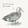 Moulin - Canard Carotte