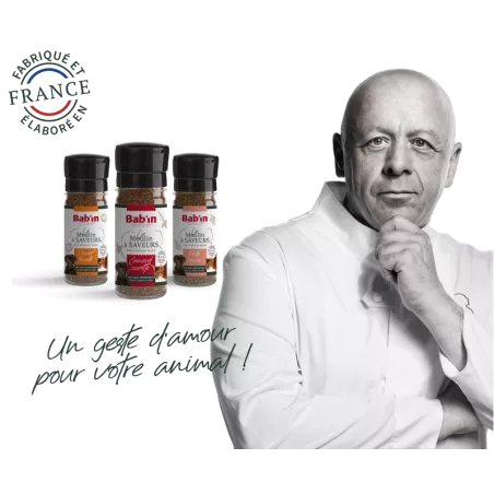 Moulin - Poulet Tomate