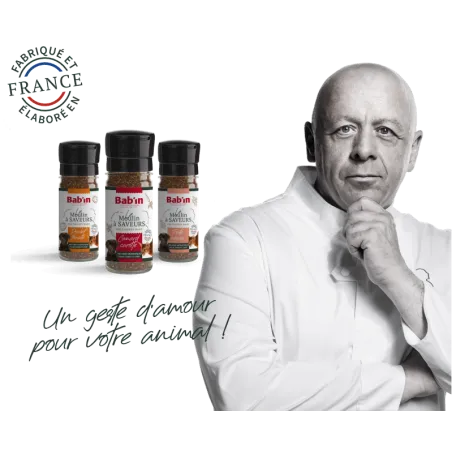 Moulin - Truite Algues