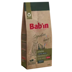 Adulte toutes races - Canard