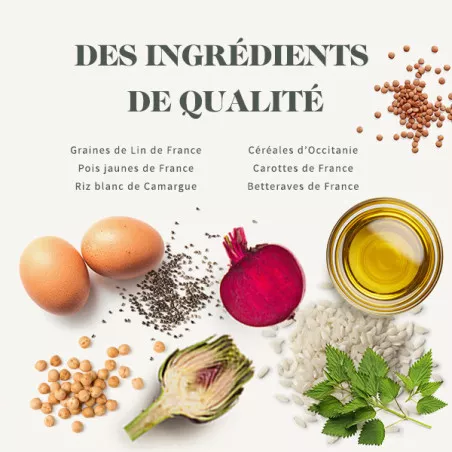 Mini Junior - Poulet