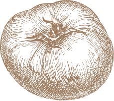 Tomate
